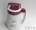 Choyyang厨卫全钢智能营养豆浆机